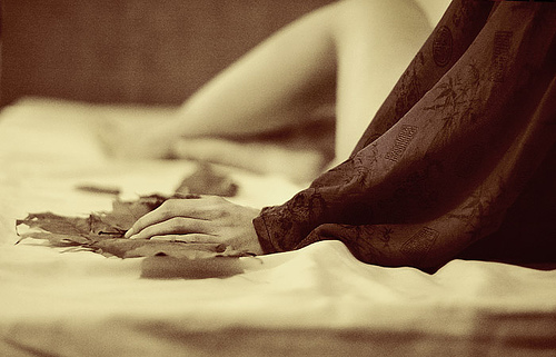 autumn awakening: image © amaria 