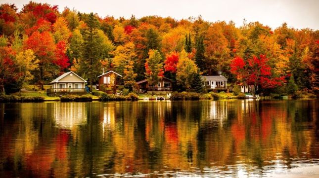 image: Autumn in Quebec © numa crouzet